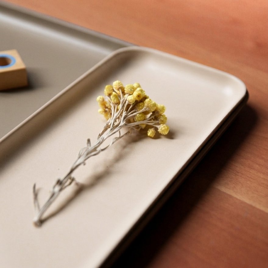 Small Tray - Sand EKOBO