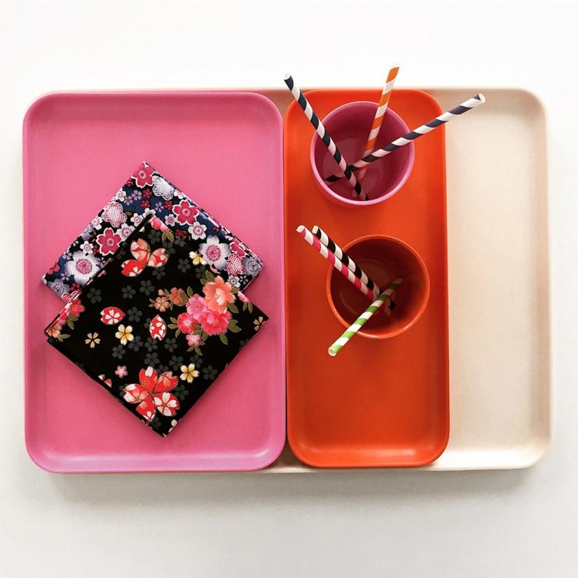 Small Tray - Persimmon EKOBO