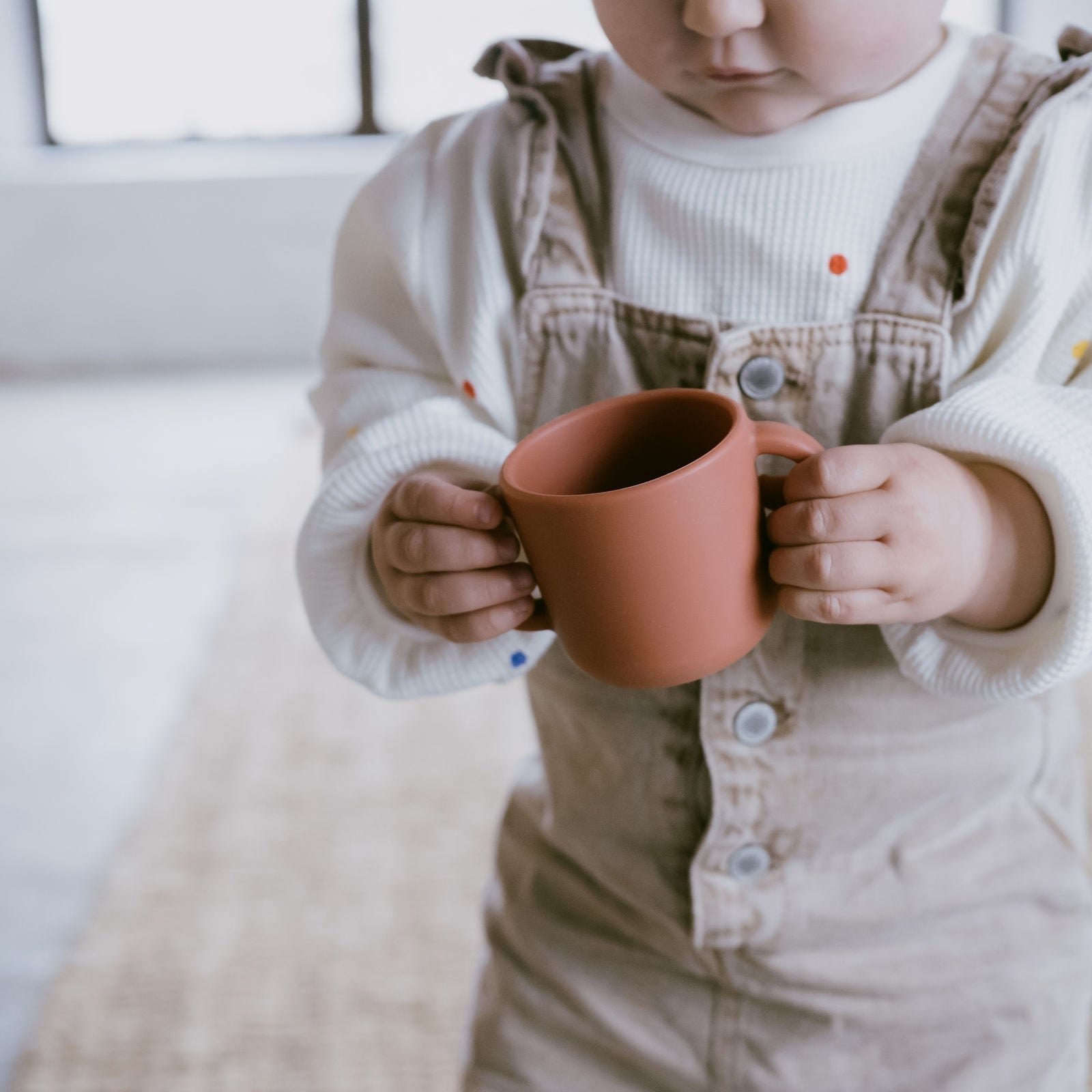 Silicone Sippy Cup with handles - Terracotta kids EKOBO USA 